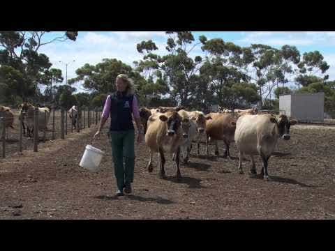 A YouTube video of Joanne Coombe describing her experience as a PhD student