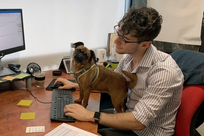 Abe Watson at work with Willow (Instagram: @willowvonruff) at the MTC