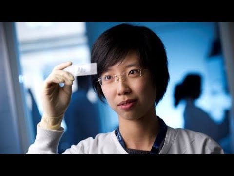 YouTube video player