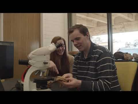 A Youtube video explaining the Bachelor of Science at The University of Melbourne