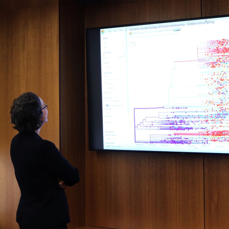A practitioner looking at a screen displaying bioinformatics and date patterns.