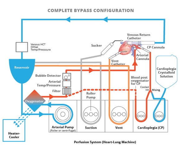 Medical Perfusion