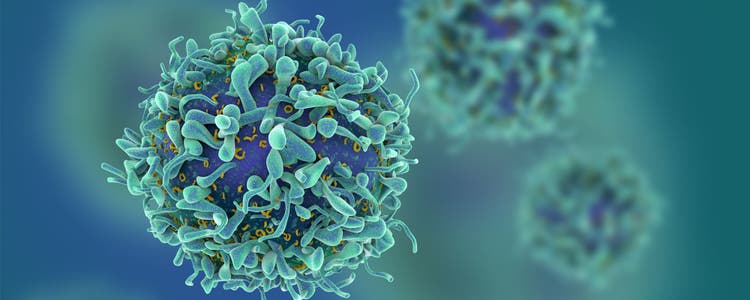 Cancer cells