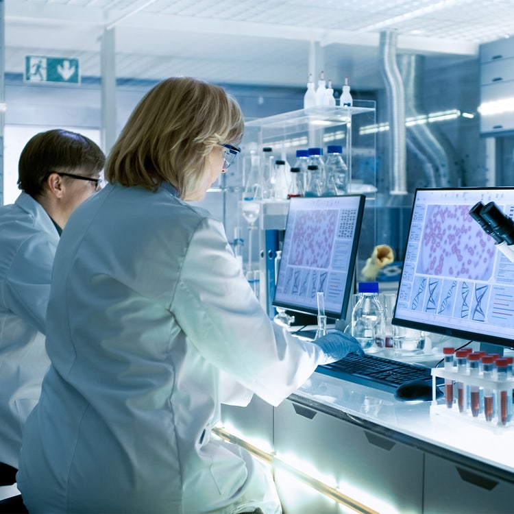 Female and male scientists working on their computers in a big modern laboratory. Various shelves with beakers, chemicals and different technical equipment is visible.