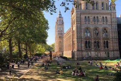 People relax on the lawn of the Natural History Museum in London. Photo by Ashley Richards on Unsplash