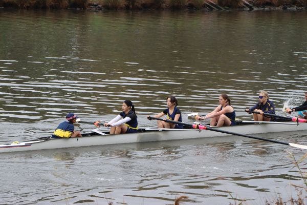 IH Rowing club