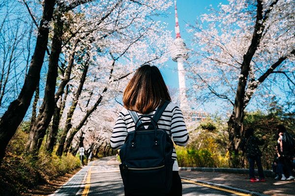 Young woman traveler backpacker traveling into N Seoul Tower at Namsan Mountain in Seoul City, South Korea stock photo