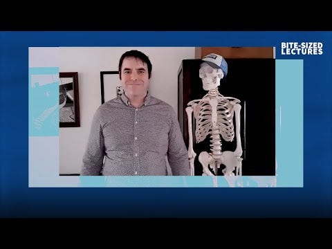 Video of How we keep our cells happy