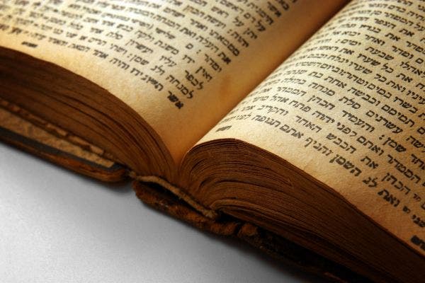 Open Bible close up