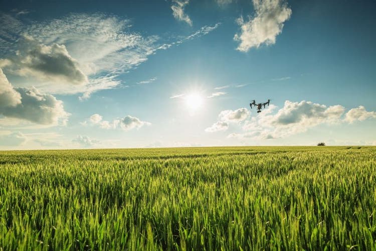 Photo of field with blue sky and clouds