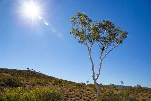 Rural Australia