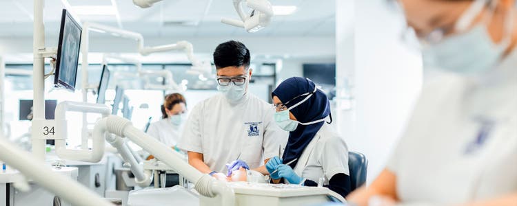 Lab technicians working in a lab
