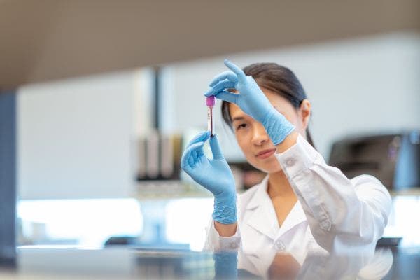 Image for Cancer sciences and treatment