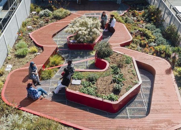 Image for Master of Urban Horticulture