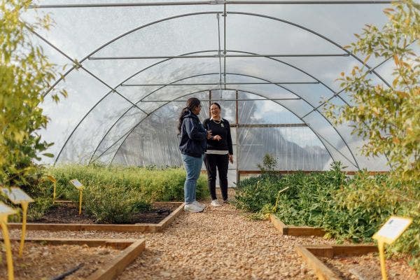 Image for Agriculture and food degrees