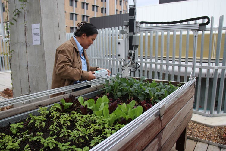 Person monitoring plantation with specialised equipment