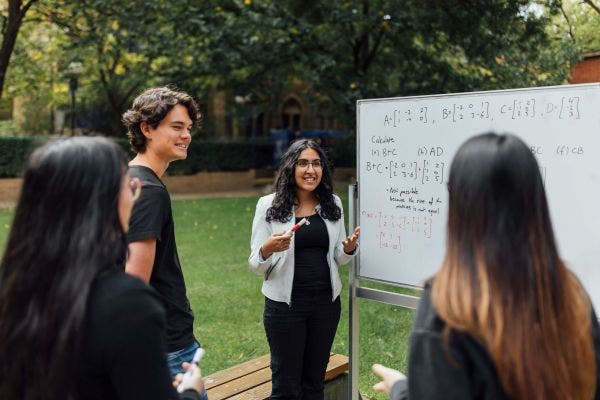 Image for Master of Science (Mathematics & Statistics)