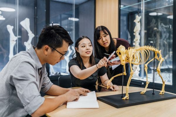 Image for Master of Science (BioSciences)