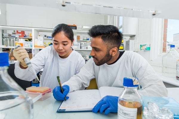 Students working in lab