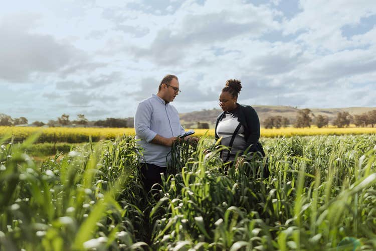 Two students in field of wattle
