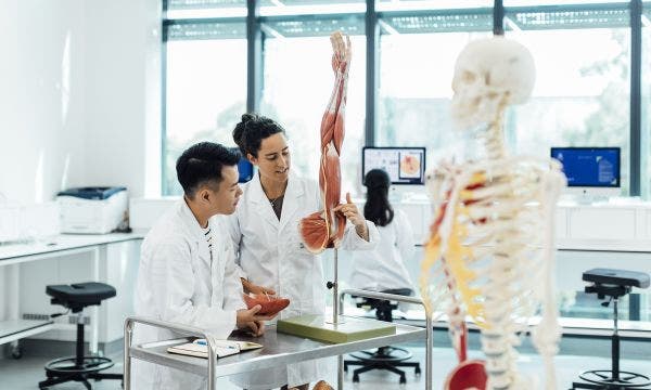 Image for Health