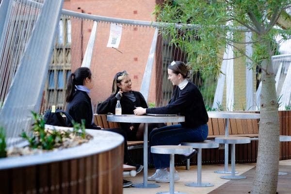 Two students sit talking and smiling on a bench beneath a tree on Parkville campus