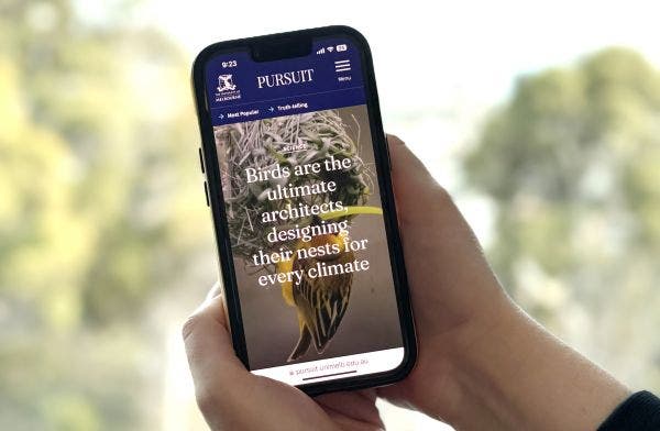 Close up of a hand holding a mobile phone showing the Pursuit website