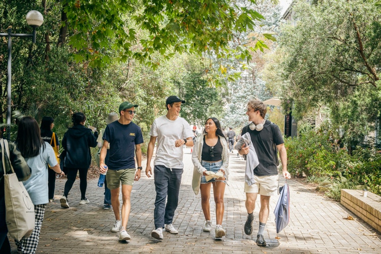 Four young students in summer clothing walking and talking under a canopy of trees at the University